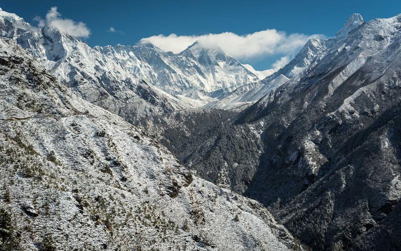 Le mouvement slow flower : fleurs locales et naturelles