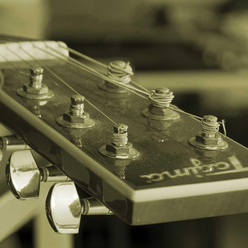 Plante verte "Green Touch"